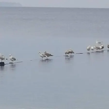 Weisses Traumhaus Feriehus